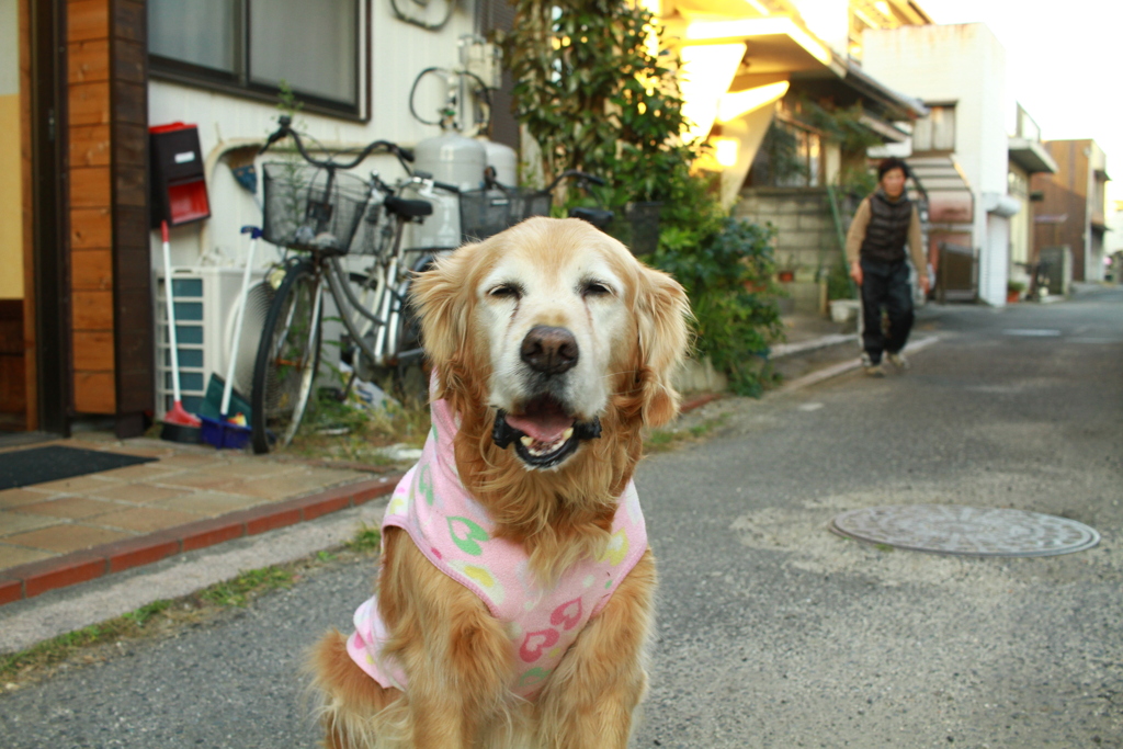 お宿番してるみゅうちゃん