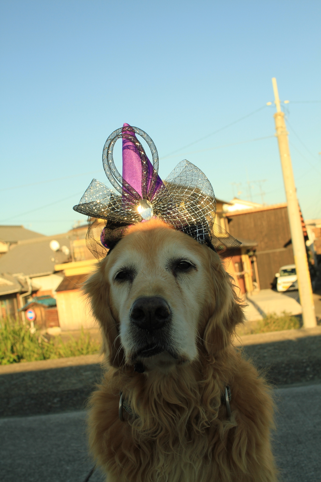 ハロウィーンはバッチリ！