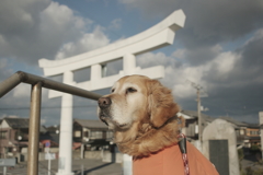 みゅうちゃん＠北条水軍ユースホステル