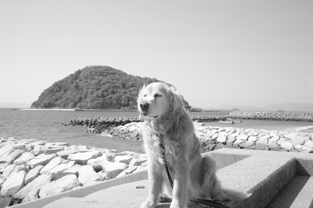 みゅうちゃんと鹿島