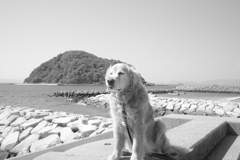 みゅうちゃんと鹿島