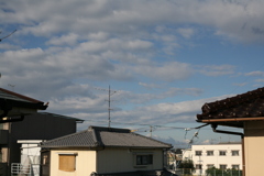 新たに来たEos5D試写