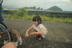 モテモテメタボスケベ猫トム君の日常