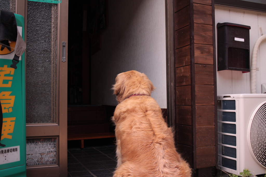 今日もいつも通り