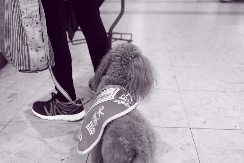 ＠2021‐06‐09