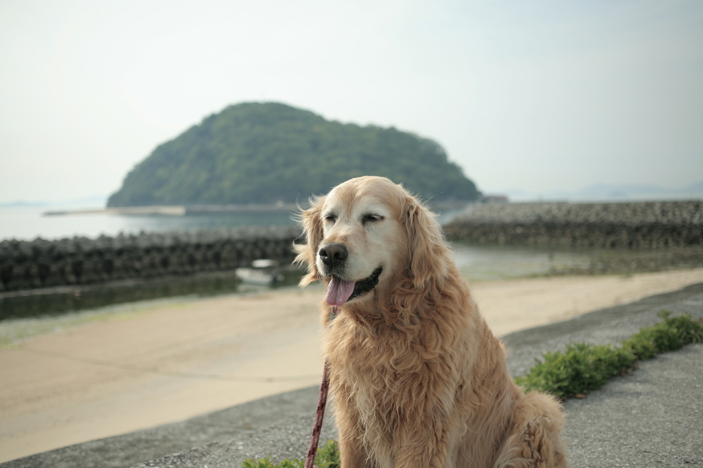 みゅうちゃんと浜にて　暑い！