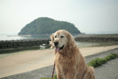 みゅうちゃんと浜にて　暑い！