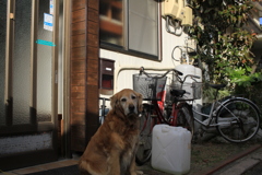 @2018-01-27