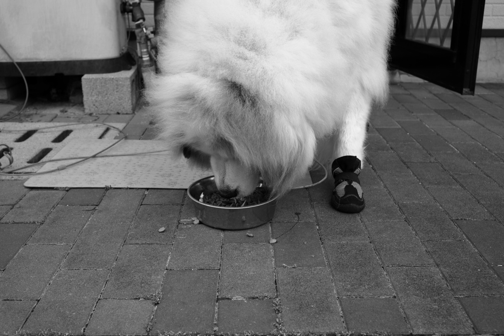 6/1は写真の日だそうで