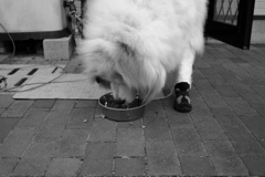 6/1は写真の日だそうで