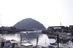 あったかい＠2019-03-21