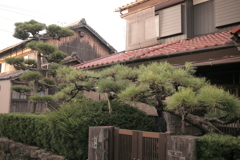 朝＠2020‐08‐01