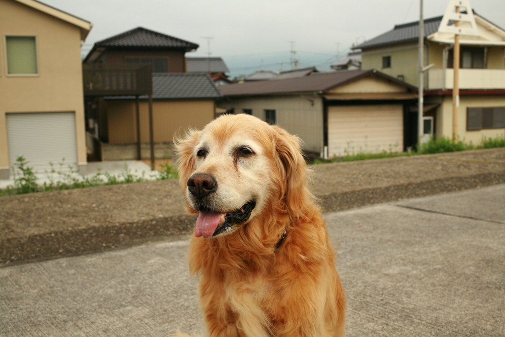 9月になったのにいいことなんてありゃしないさ