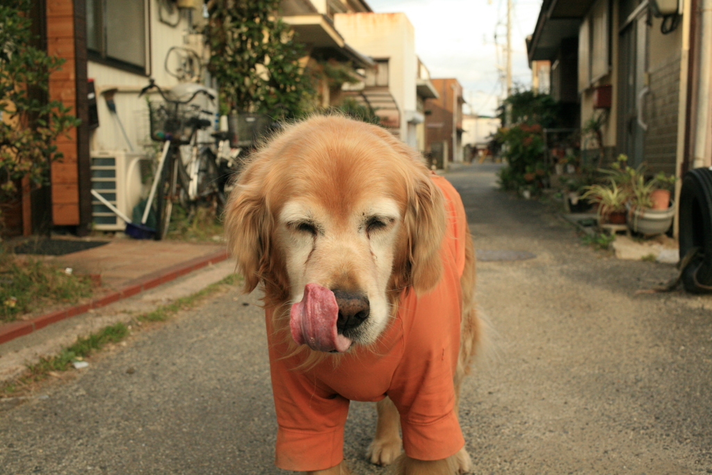営業本部長みゅうちゃん