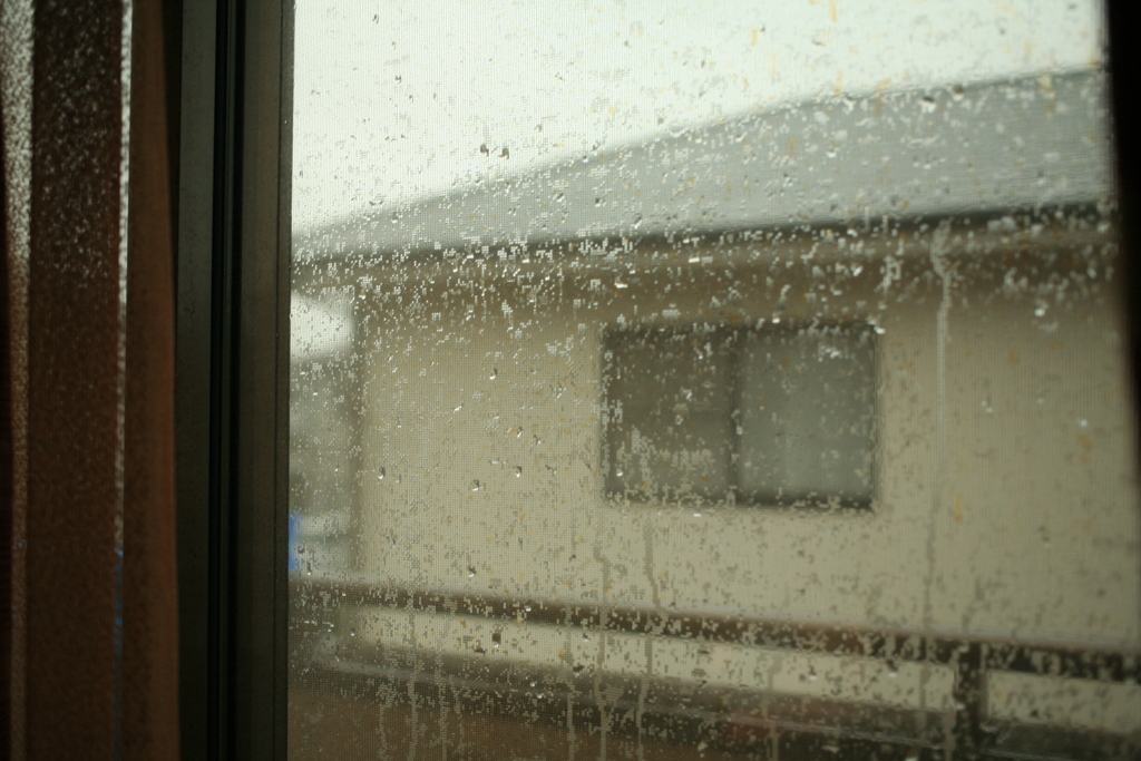 Good for ducks@2019-08-15