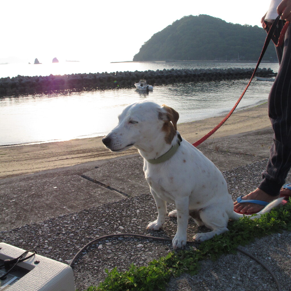 ＠2021‐06‐08