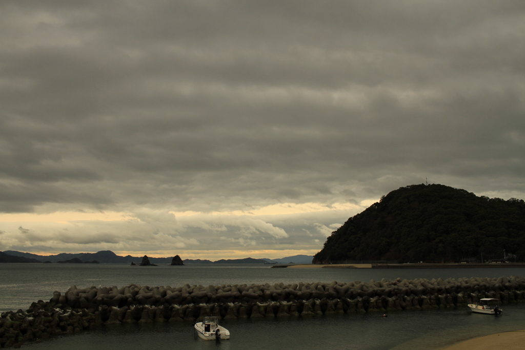 今日は寒かったけど明日はまたあったかくなるみたい