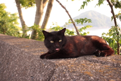 タンゴさんも暑そう