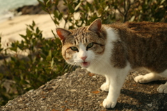 春日和＠2019-03-28