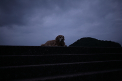 なかなか帰ろうとしないみゅうちゃん