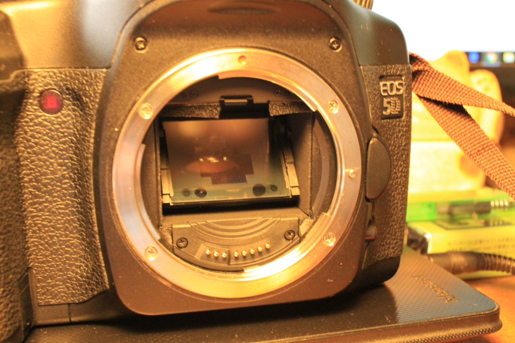 ミラー脱落対策できてますよね？？