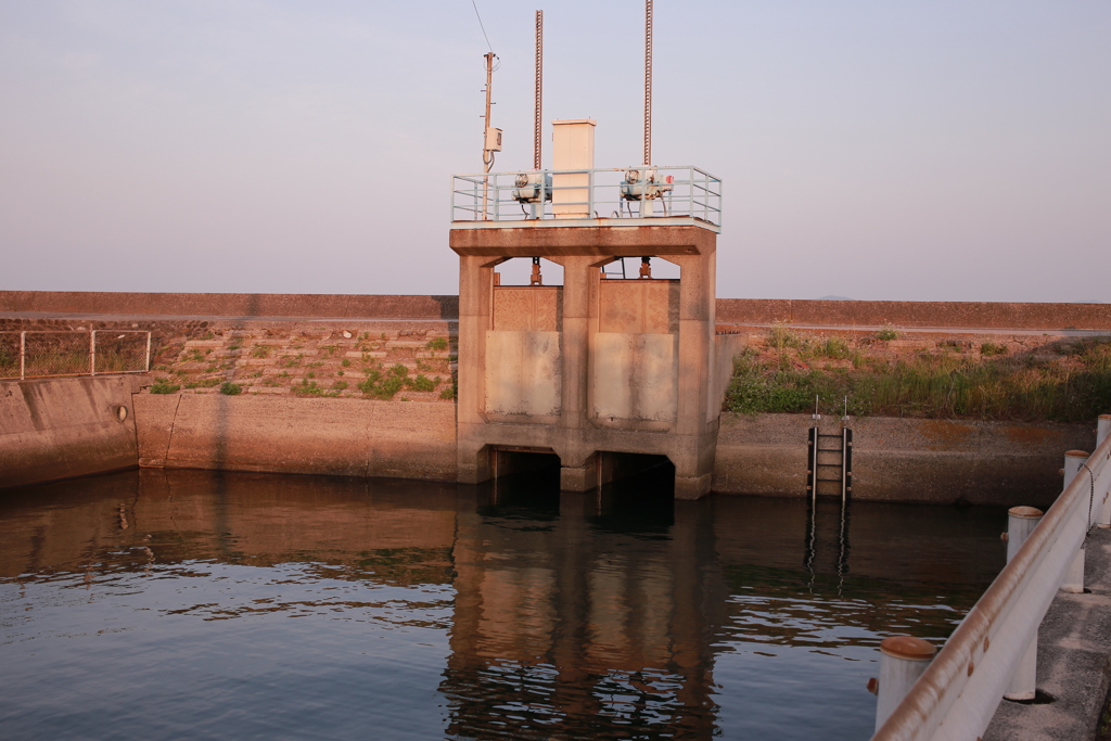 イミフ系朝写真