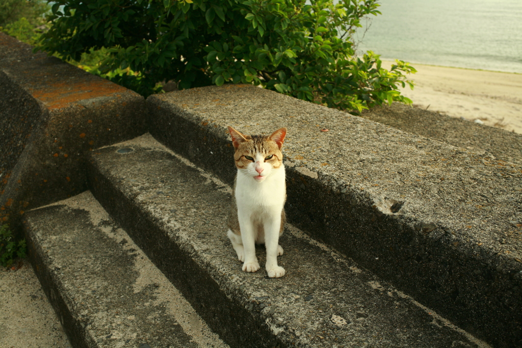 グーグルクロームが壊れて、