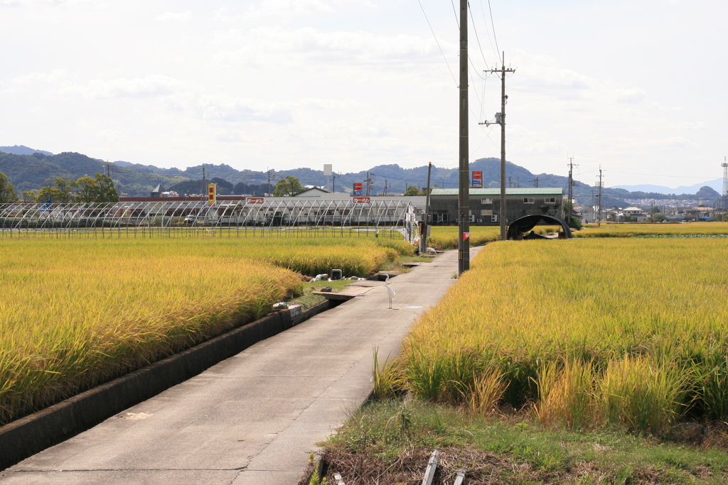 APS-Cに50mmは画角が不自然だな!(^^)!