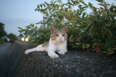 ＠2021‐08‐04