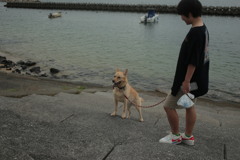 お姉さんと散歩してる小梅ちゃん