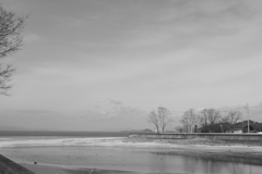 Eos20Dはモノクロにすると絶妙　７