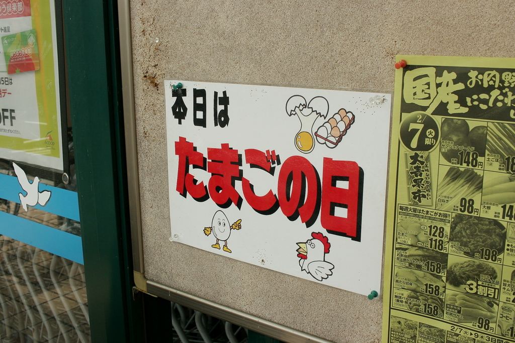 Eos20Dを持ち出す　１０