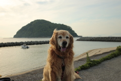 みゅうちゃんと散歩