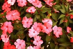 私の4KPCが松山西郵便局まで来てる