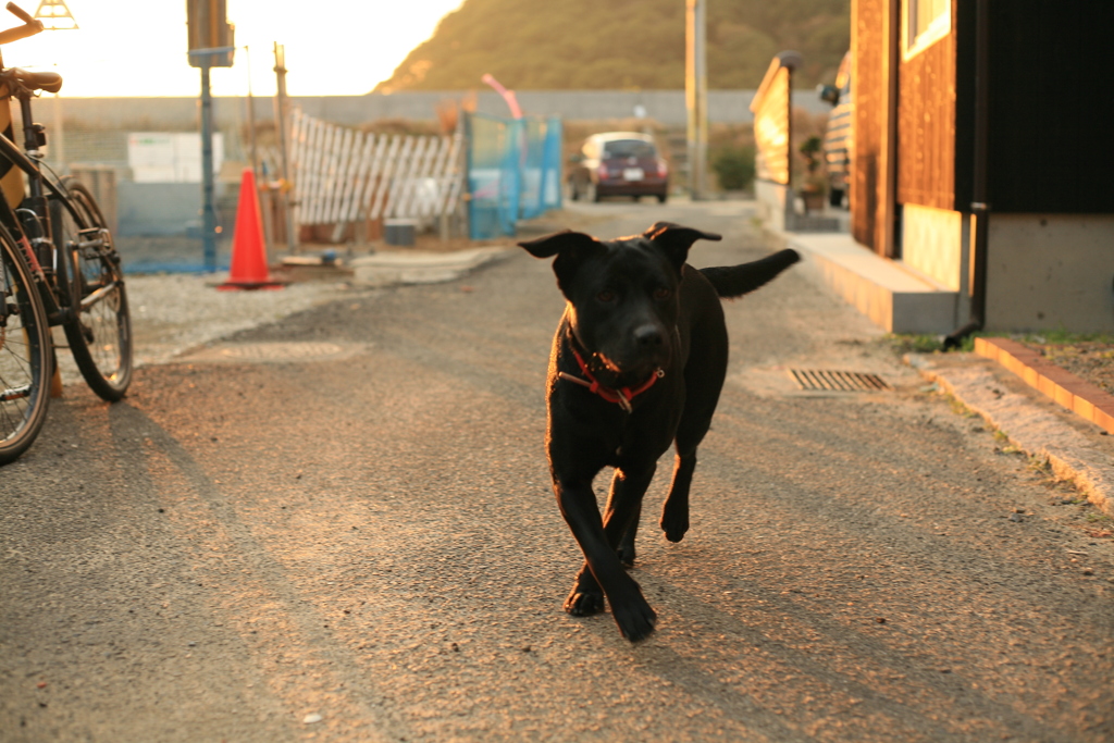 関西から来てるポッチ