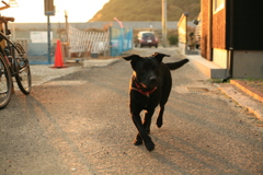関西から来てるポッチ
