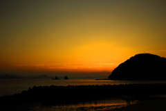 IMG_3182 ggg