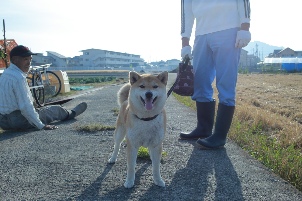 ソラちゃん