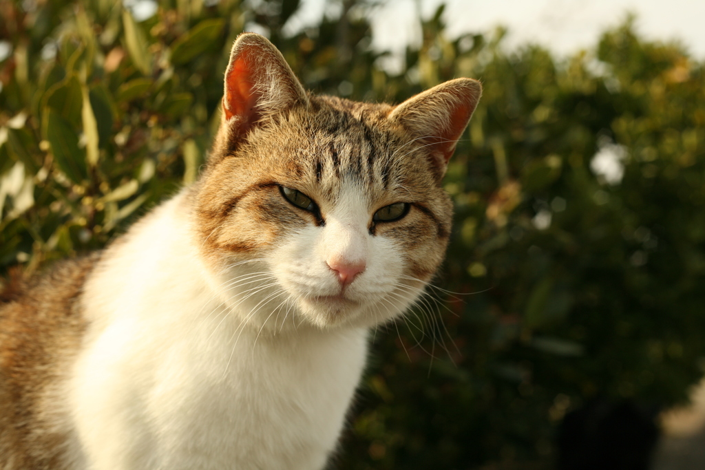 春日和＠2019-03-28