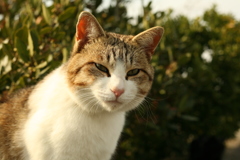 春日和＠2019-03-28