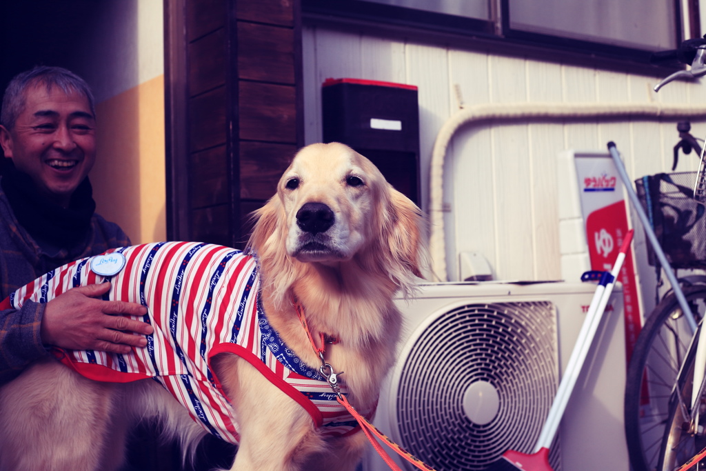 茶々丸　フイルム風