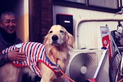 茶々丸　フイルム風