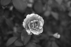 ＠2019-09-09