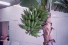 ピントも動いてないっぽい