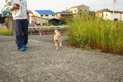 手出したらかみつかれそう