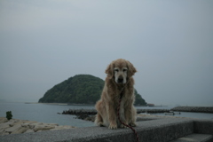 みゅうちゃんと散歩