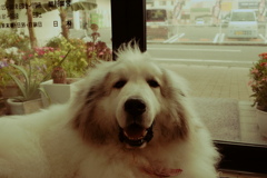 IMG_1723 kkkk