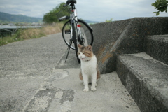 トム君はモンモン背負ったヤクザみたいでかっこかわいいな