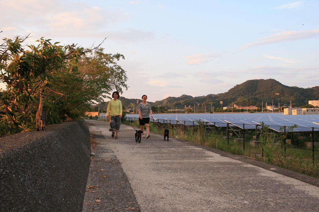 メロンちゃんご一行