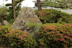 みゅうちゃん所の岩